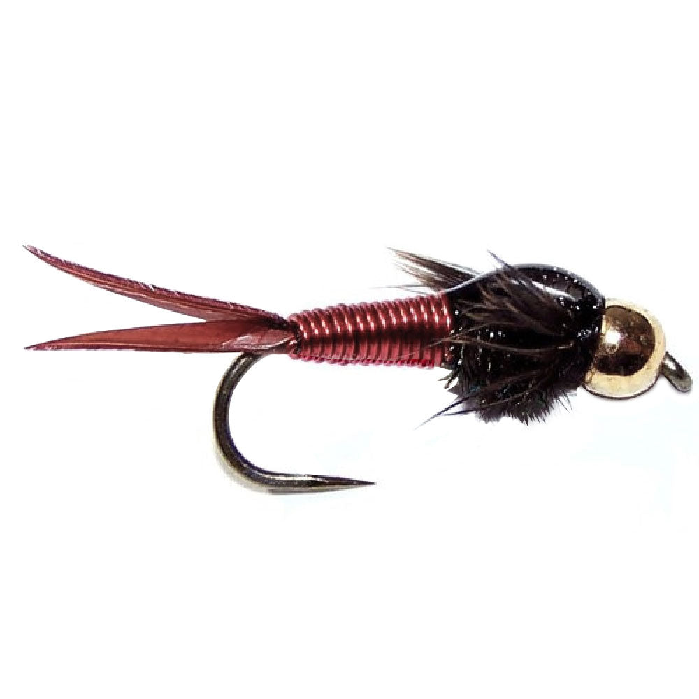 Widerhakenlose Bead Head Red Copper John Nymphe – 6 Fliegen Hakengröße 14