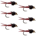 Widerhakenlose Bead Head Red Copper John Nymphe – 6 Fliegen Hakengröße 14