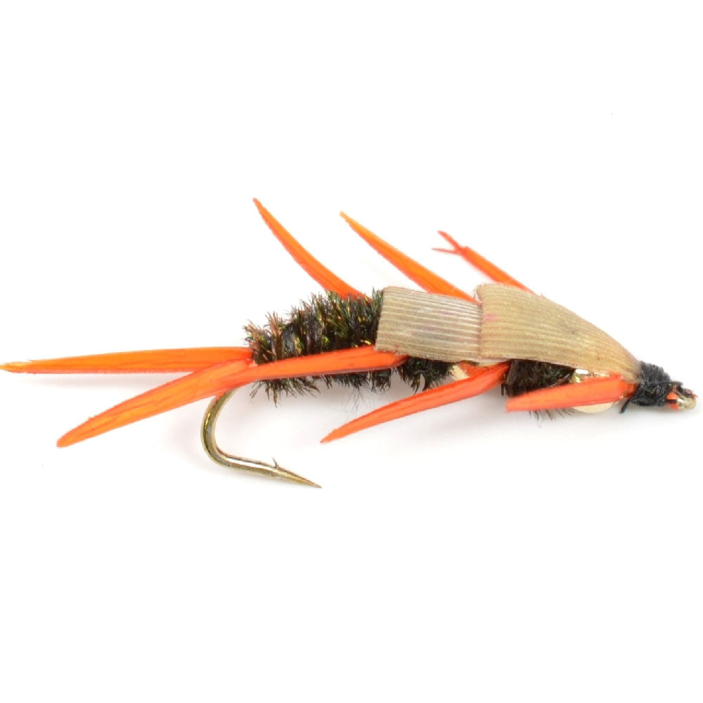 Doppel-Bead-Pfauen-Steinfliegennymphe mit Amber-Biot-Beinen Fliegenfischen-Fliegen – Forellen- und Barsch-Nassfliegenmuster – 6 Fliegen Hakengröße 10