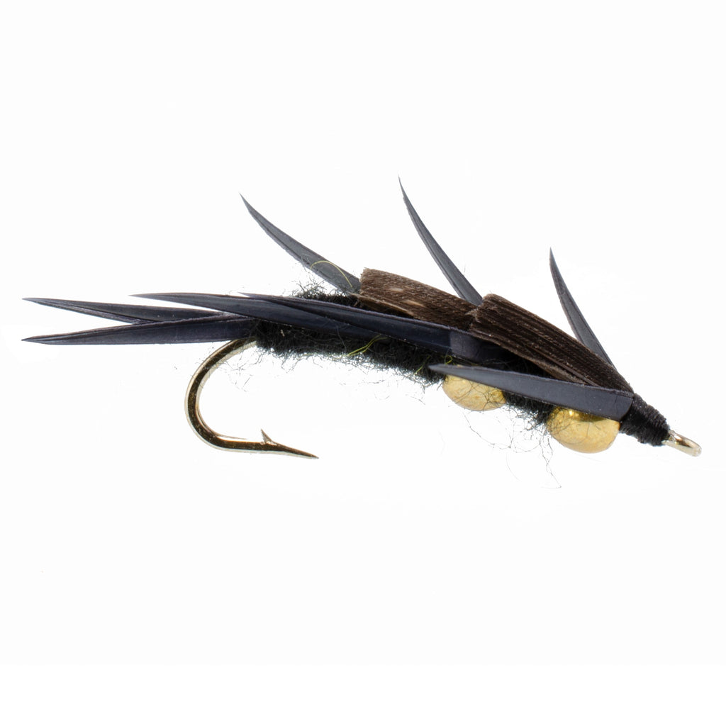 Double Bead Black Stone Fly mit schwarzen Biot-Beinen - Steinfliegen-Nassfliege - 1 Dutzend Fliegen Hakengröße 6