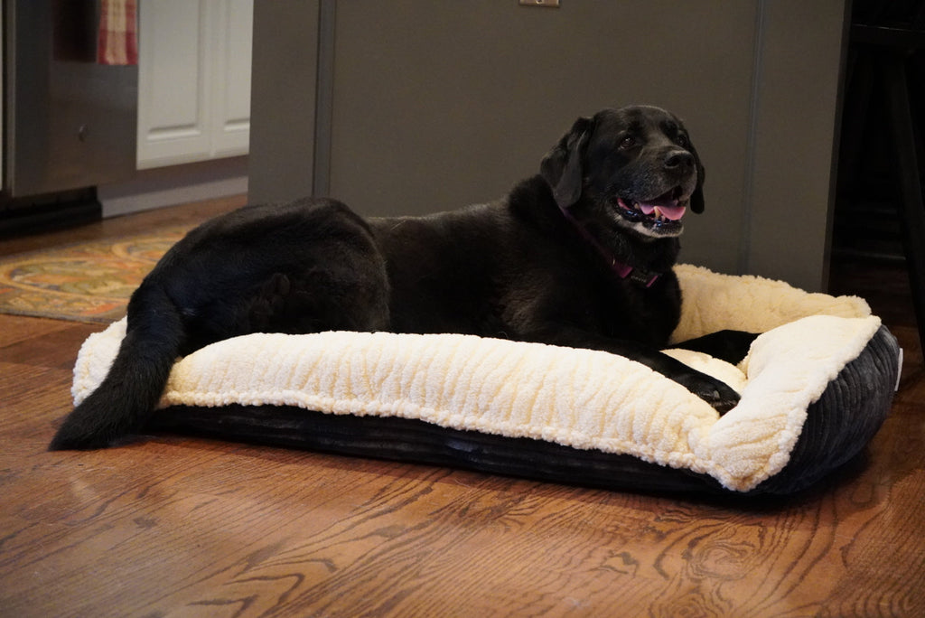 Scout Perfect Bolster Hundebett