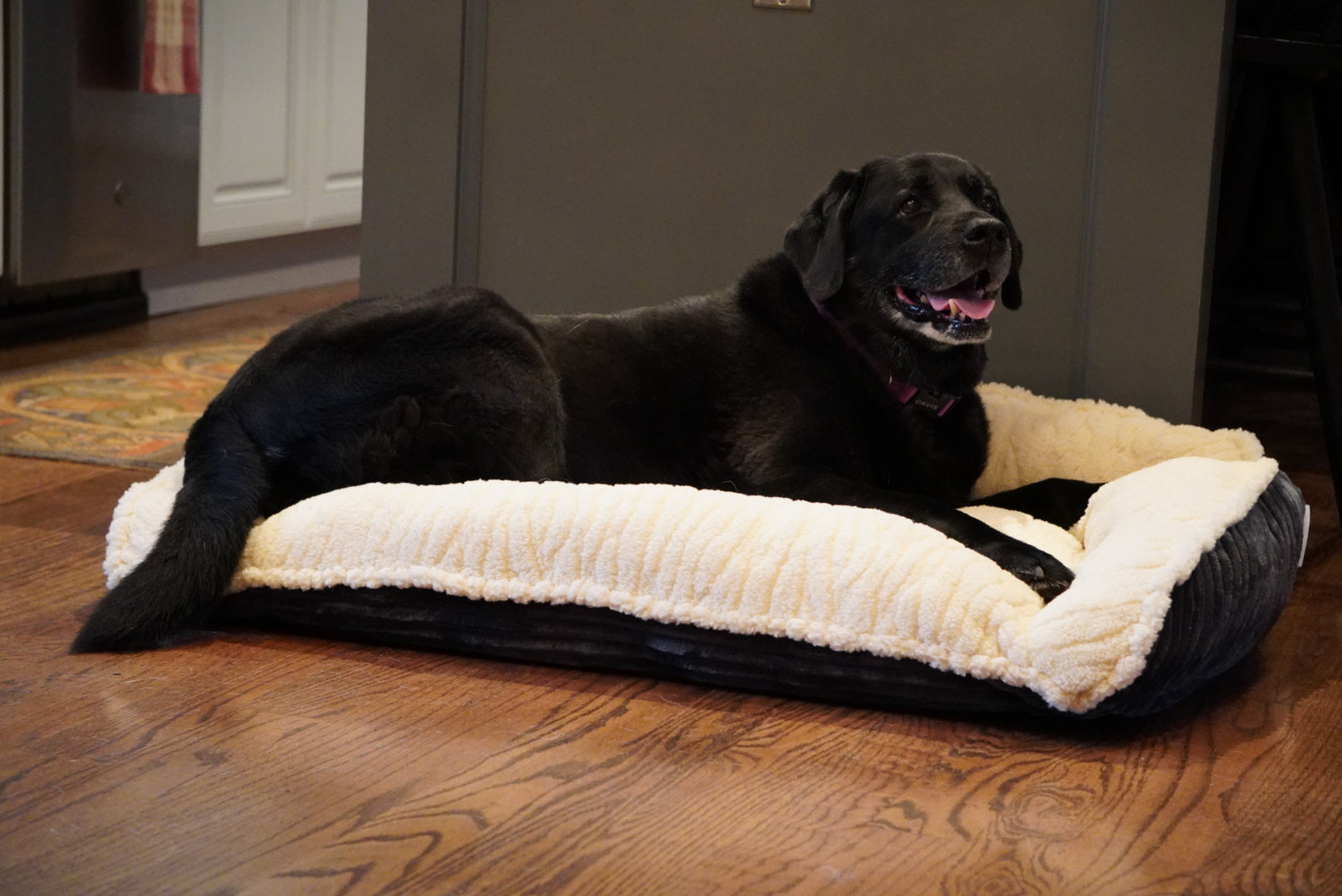 Scout Perfect Bolster Hundebett