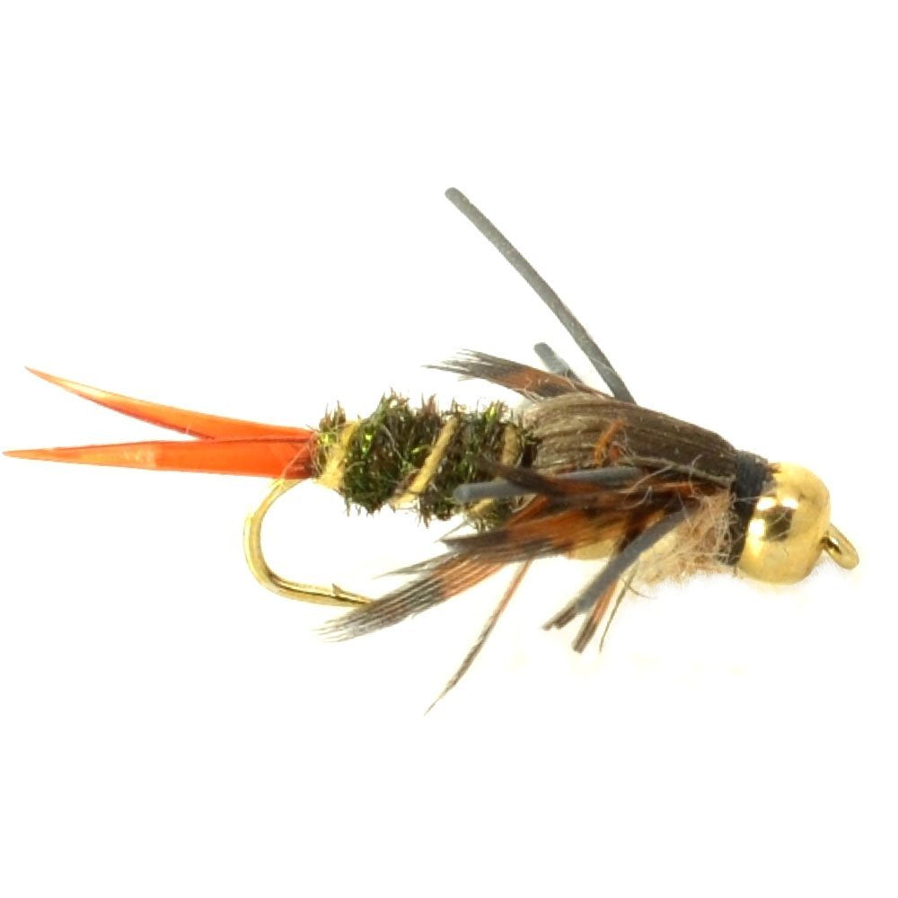 Basics Collection - Double Bead Nymph Assortment - 10 Flies - Size 8