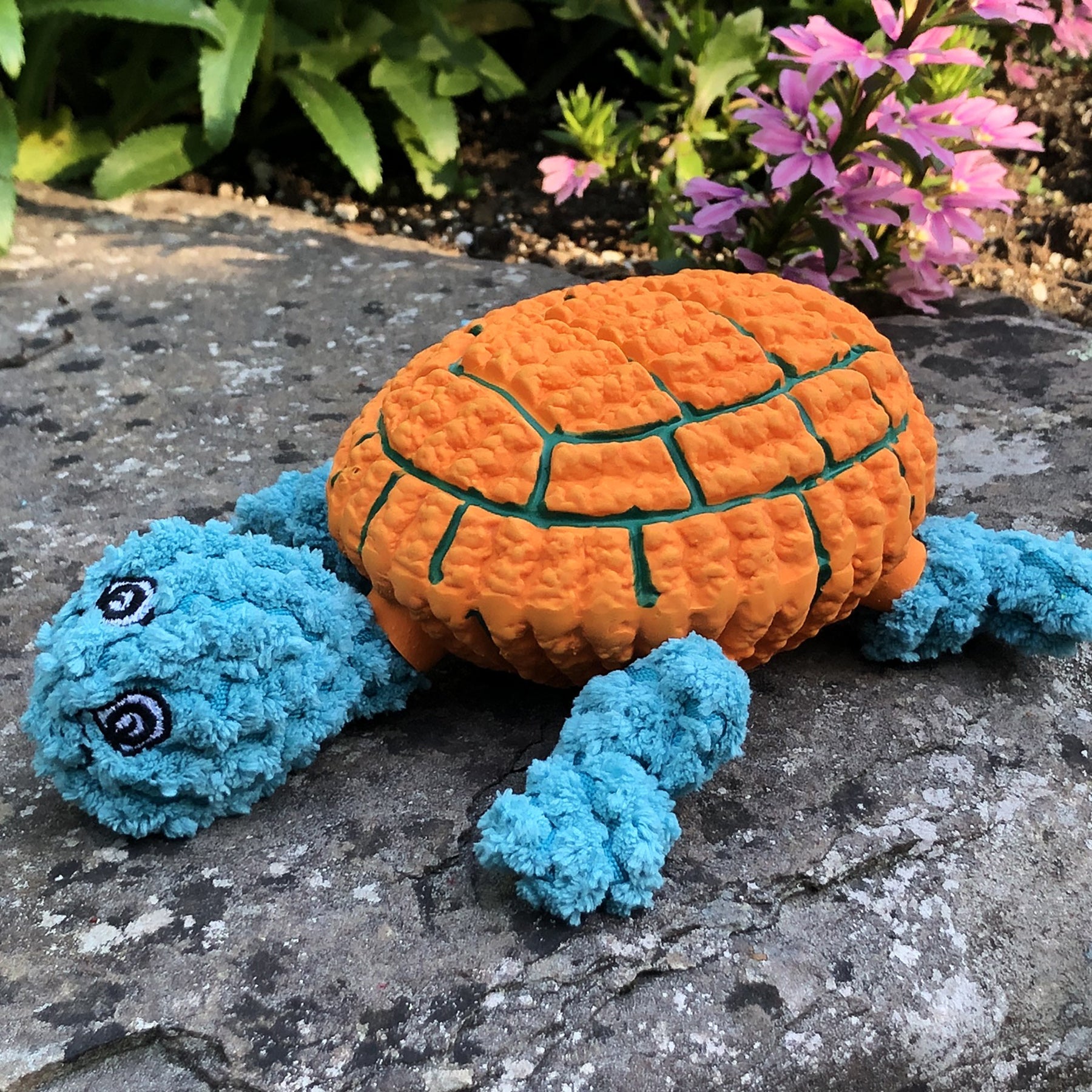 Huggle-Fusion® Dude Turtle Plüsch- & Latex-Hundespielzeug