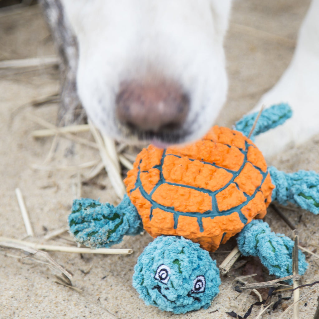 Huggle-Fusion® Dude Turtle Plüsch- & Latex-Hundespielzeug