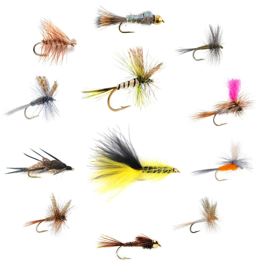 Eastern Trout Fly Assortment - 12 Essential Trout Flies Collection