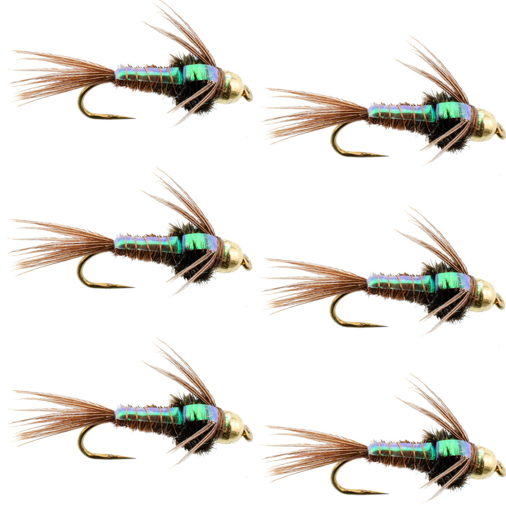 Widerhakenlose Bead Head Flashback Pheasant Tail Nymphe, 6 Fliegen, Hakengröße 12