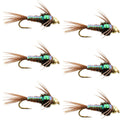 Widerhakenlose Bead Head Flashback Pheasant Tail Nymphe, 6 Fliegen, Hakengröße 12