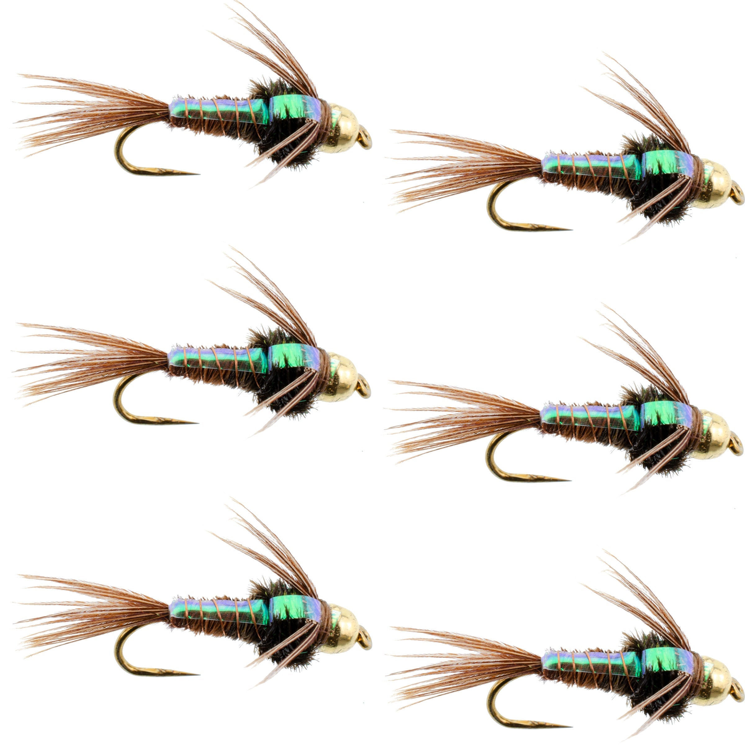 Widerhakenlose Bead Head Flashback Pheasant Tail Nymphe, 6 Fliegen, Hakengröße 12