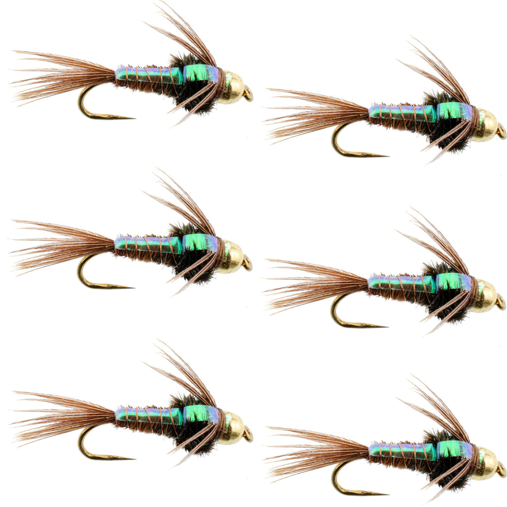 Widerhakenlose Bead Head Flashback Pheasant Tail Nymphe Fliege 6 Fliegen Hakengröße 14