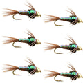 Widerhakenlose Bead Head Flashback Pheasant Tail Nymphe Fliege 6 Fliegen Hakengröße 14