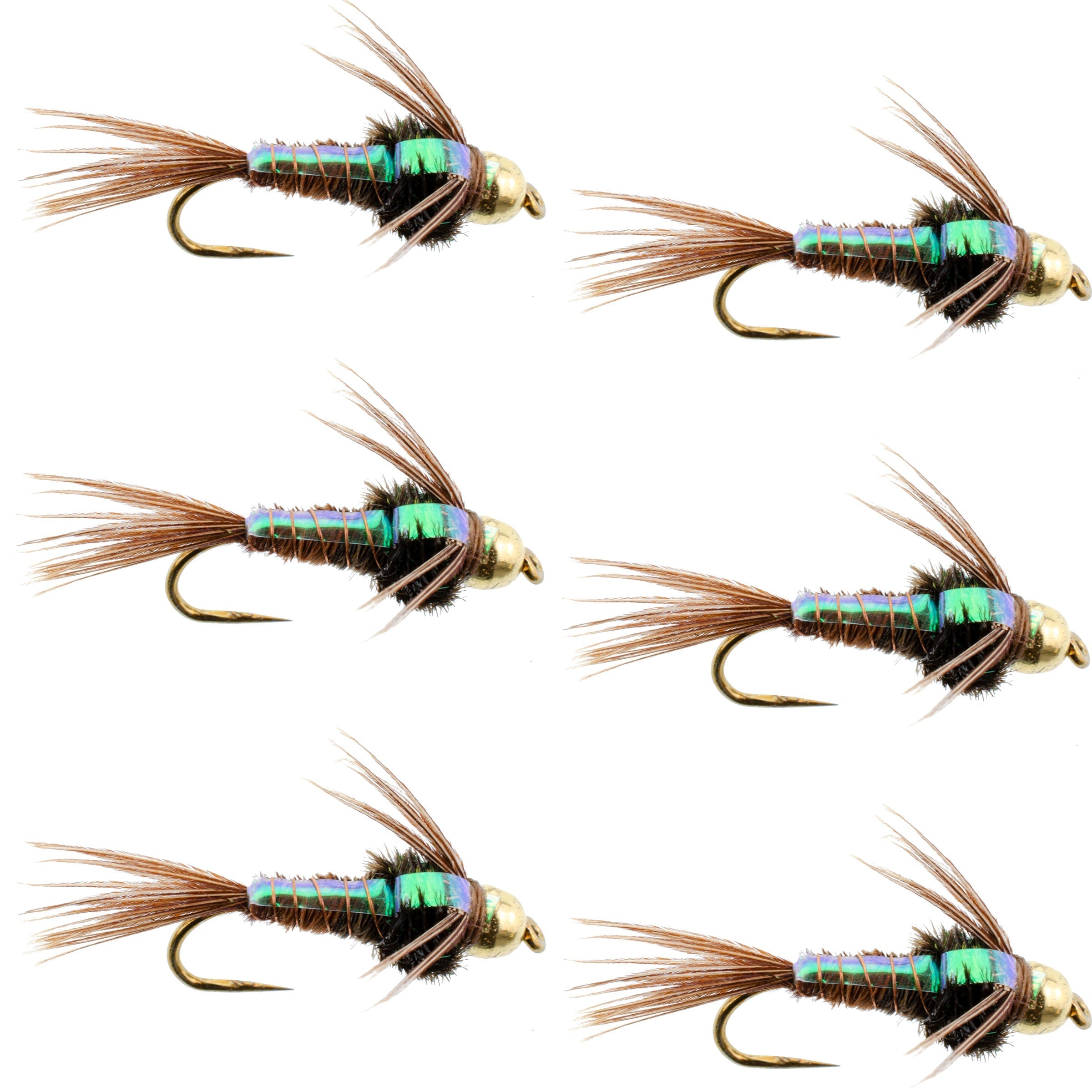Widerhakenlose Bead Head Flashback Pheasant Tail Nymphe Fliege 6 Fliegen Hakengröße 14
