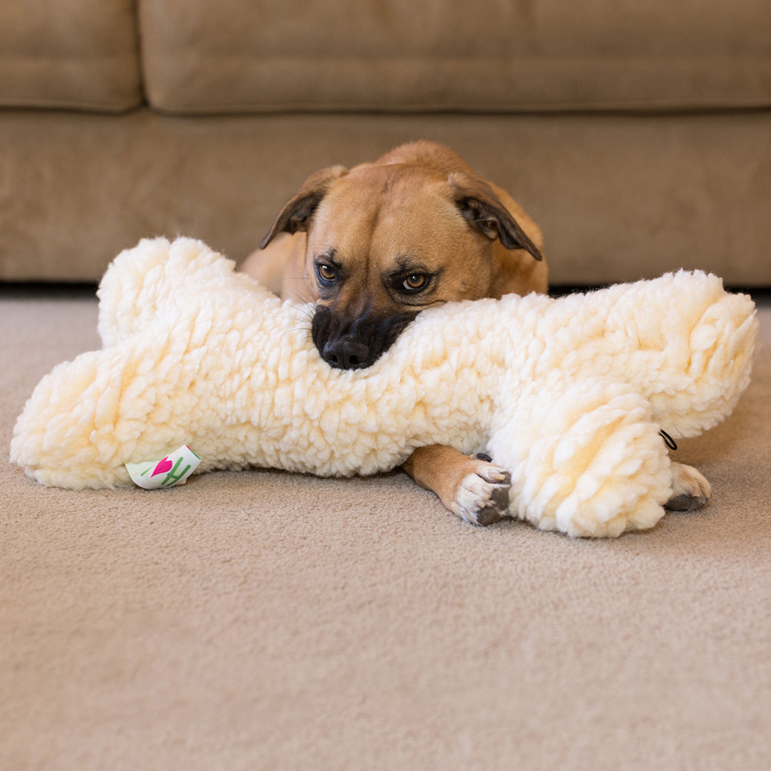 HuggleFleece® 2' Plüsch-Knochen-Hundespielzeug
