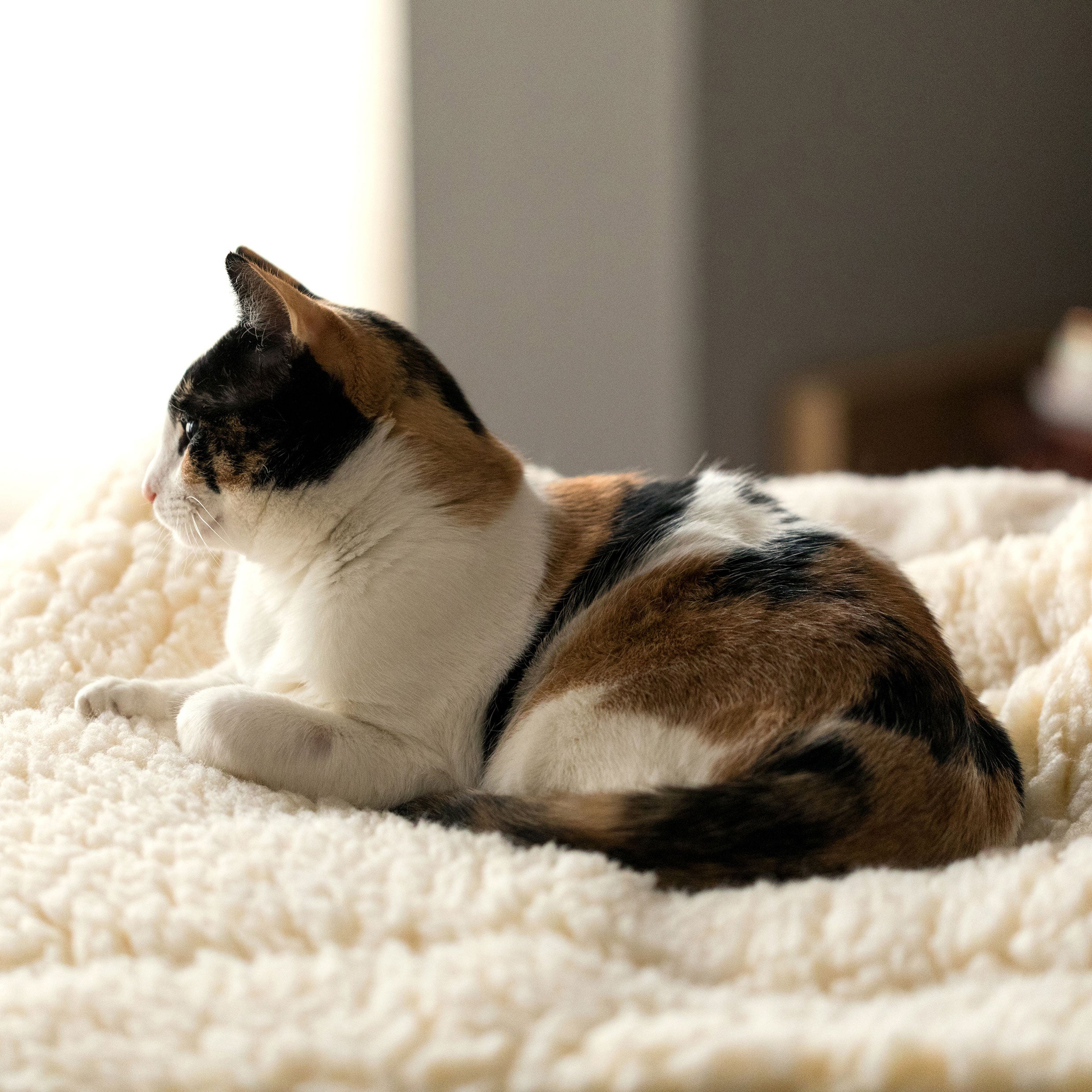 HuggleFleece® Matte Katzen- und Hundebett