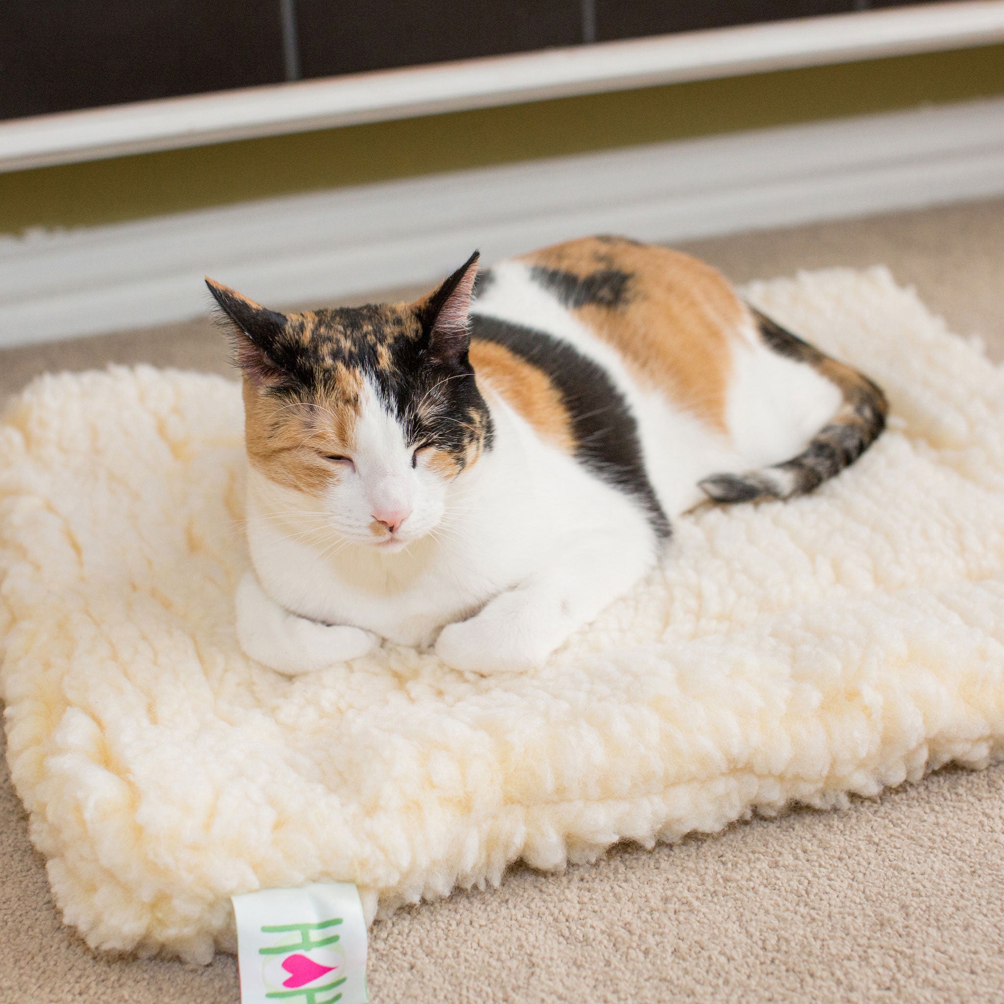 HuggleFleece® Matte Katzen- und Hundebett