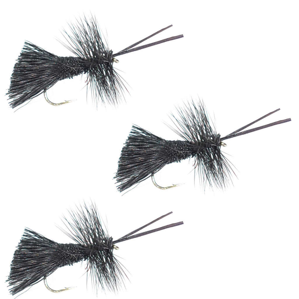 3er-Pack Goddard Caddis Trockenfliege Schwarz – Hakengröße 12