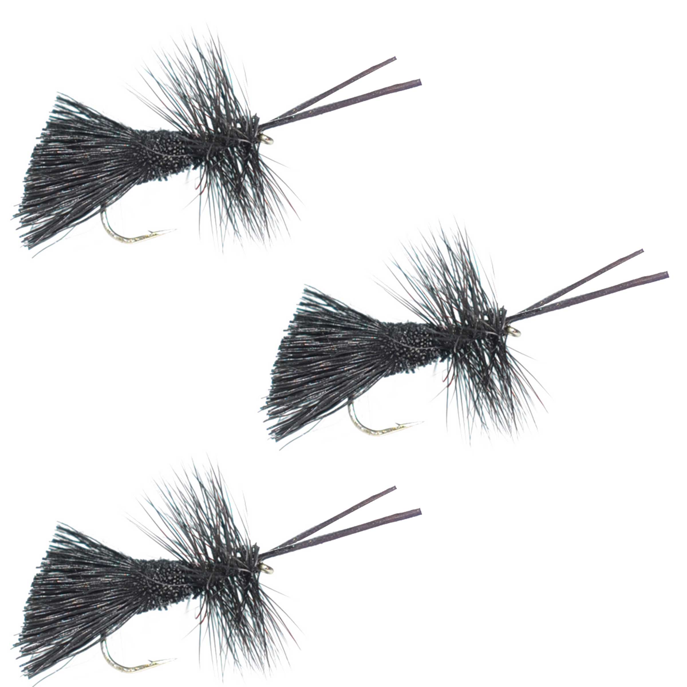 3er-Pack Goddard Caddis Trockenfliege Schwarz – Hakengröße 12