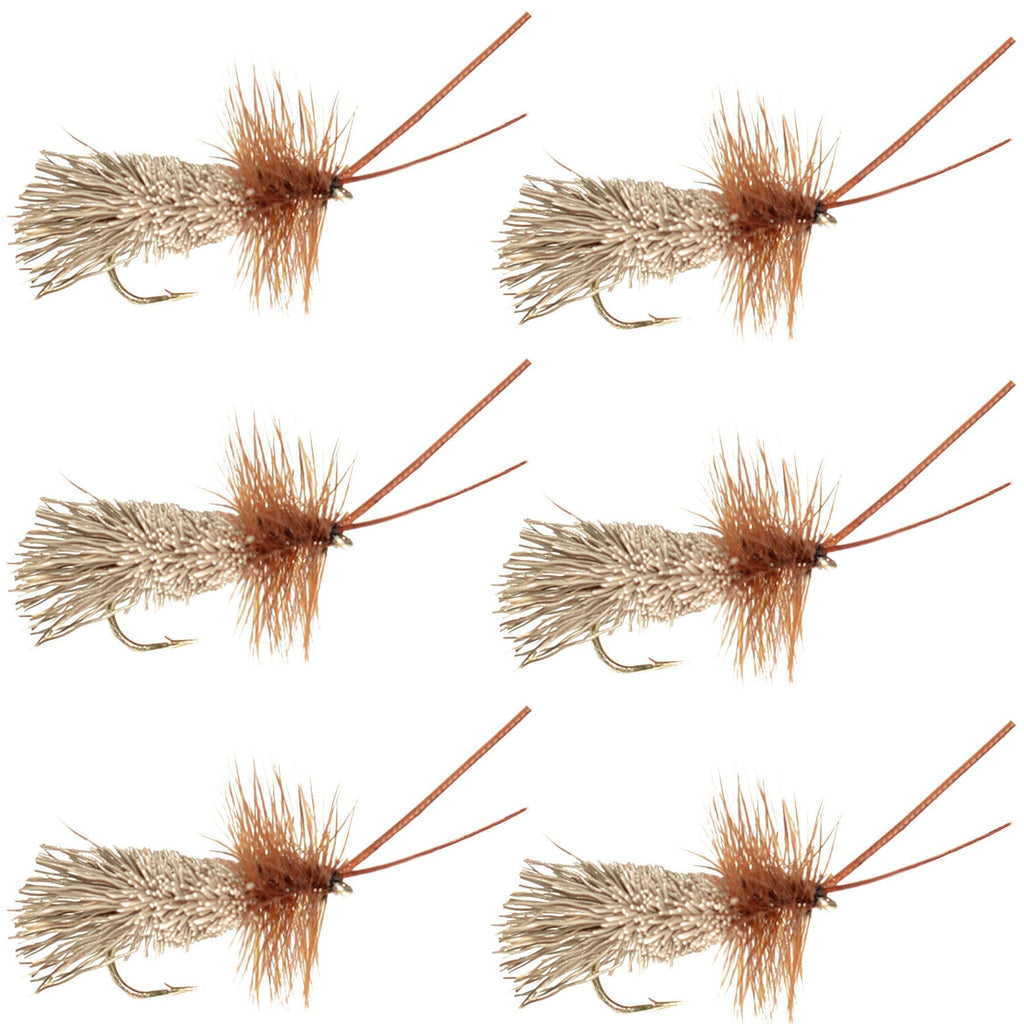 Goddard Caddis Trockenfliege – 6 Fliegen Hakengröße 12