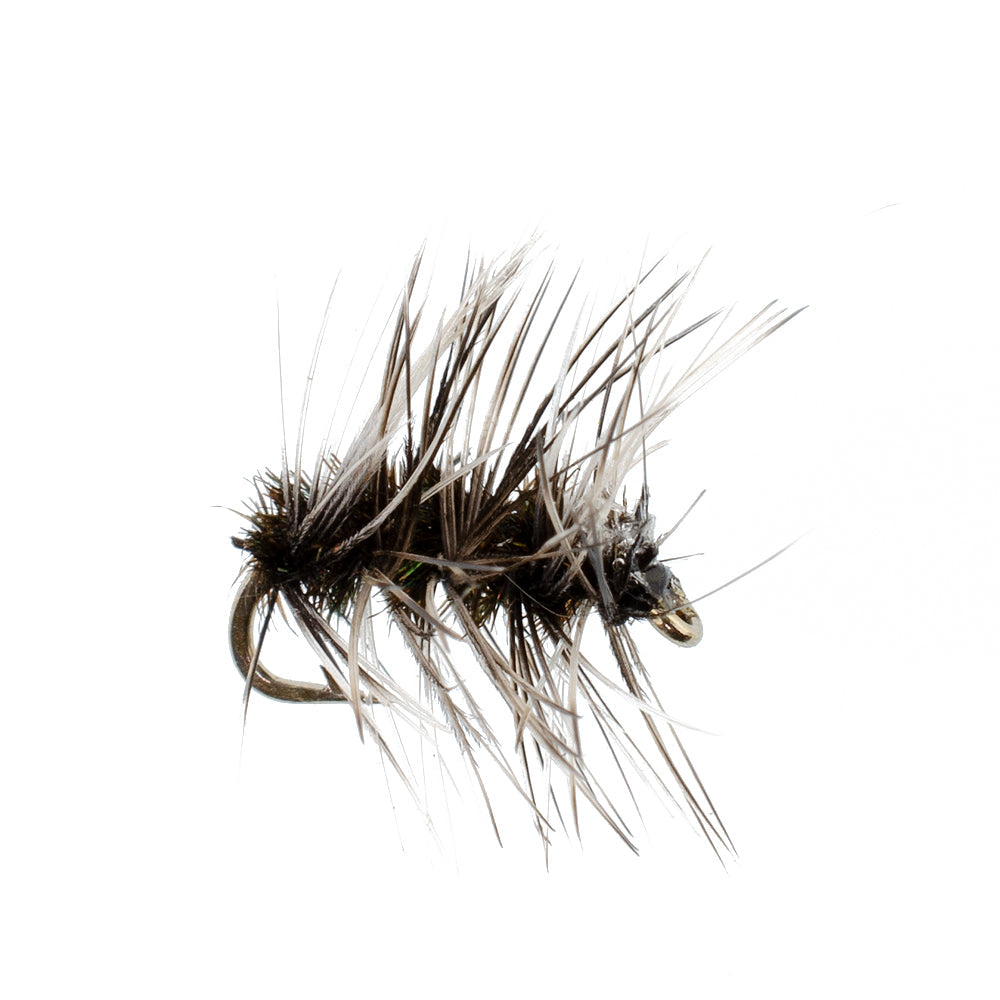 Griffiths Gnat Midge Forellen Trockenfliegen - 6 Fliegen Größe 18