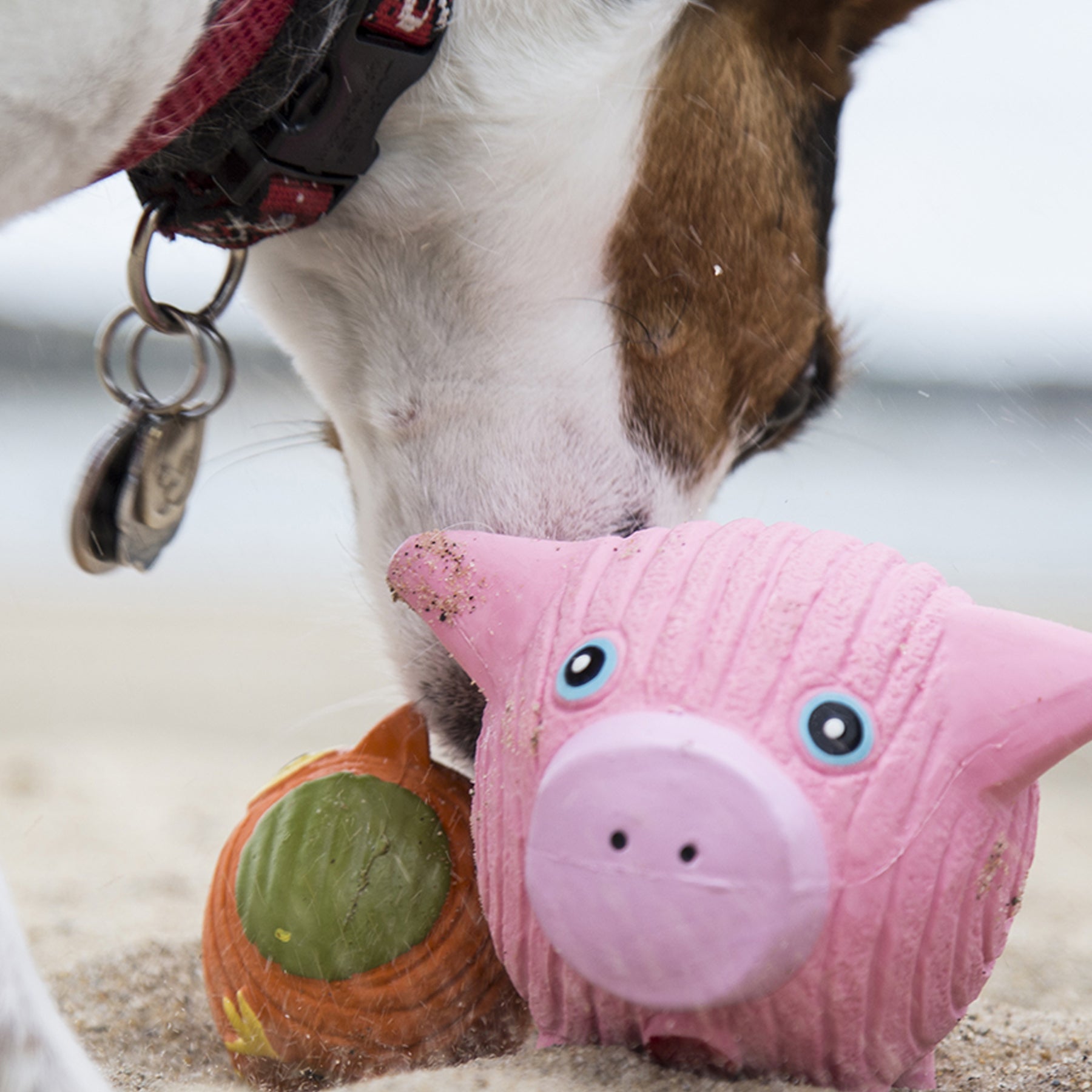 Hamlet Schwein Ruff-Tex® Latex Ball Hundespielzeug, Groß