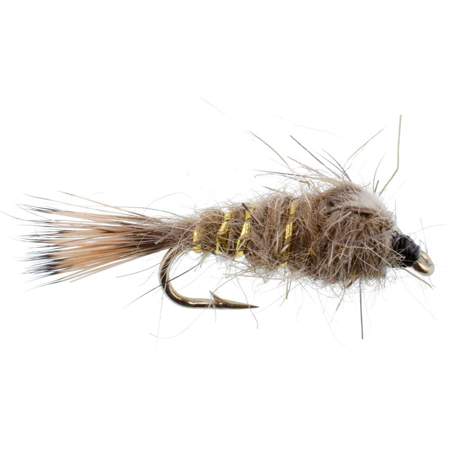 Klassische beschwerte Gold Ribbed Hares Ear Nymphe – 6er-Set – Größe 18