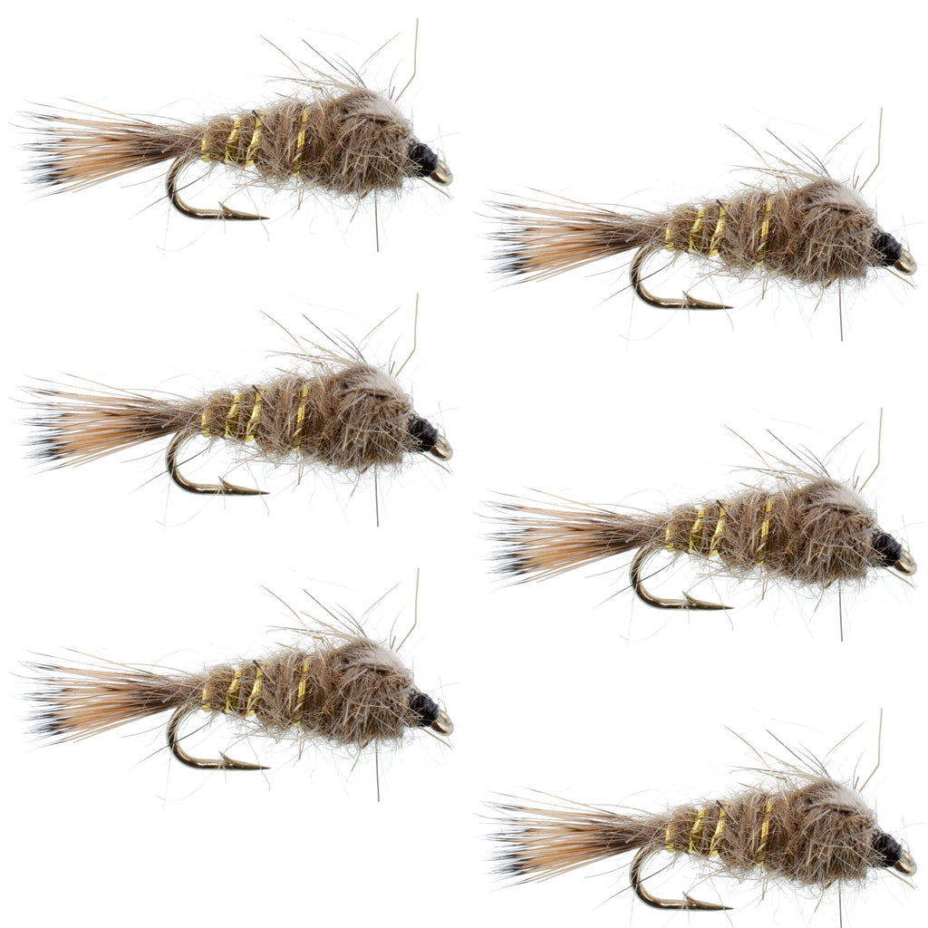 Klassische beschwerte Gold Ribbed Hares Ear Nymphe – Set aus 6 Fliegen – Größe 12