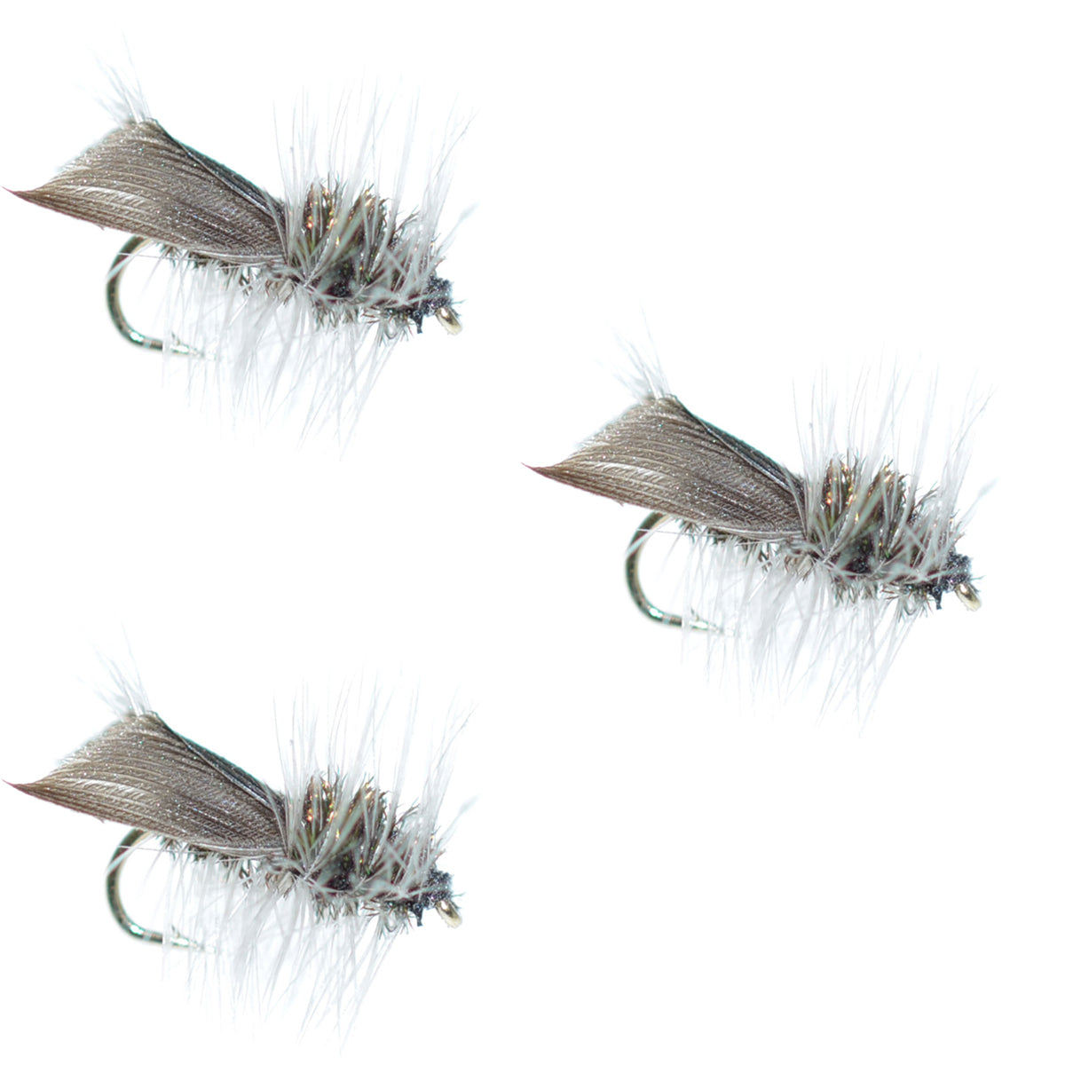 3er-Pack Hemingway-Caddis-Trockenfliege – Hakengröße 14