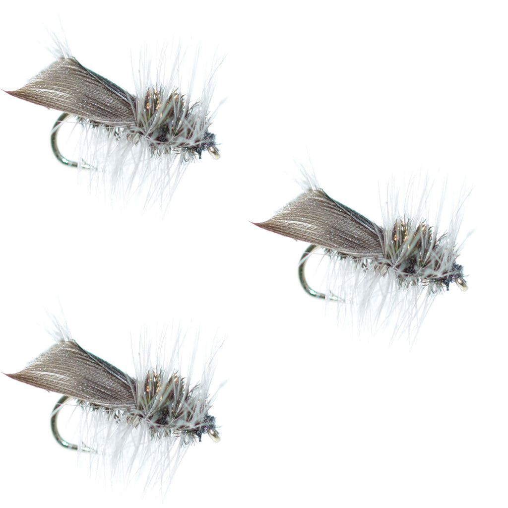 3er-Pack Hemingway Caddis Trockenfliege - Hakengröße 16