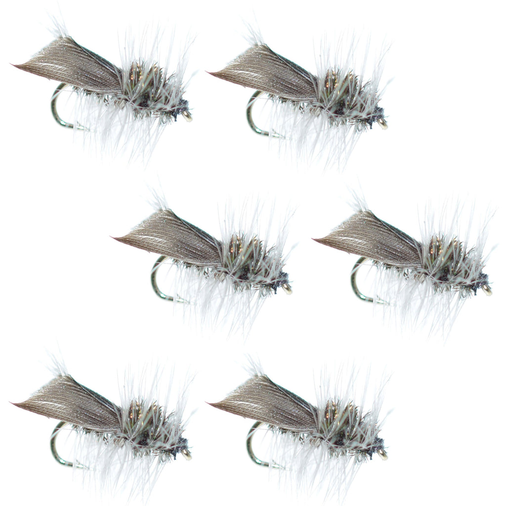Hemingway Caddis Trockenfliege – 6 Fliegen Hakengröße 16