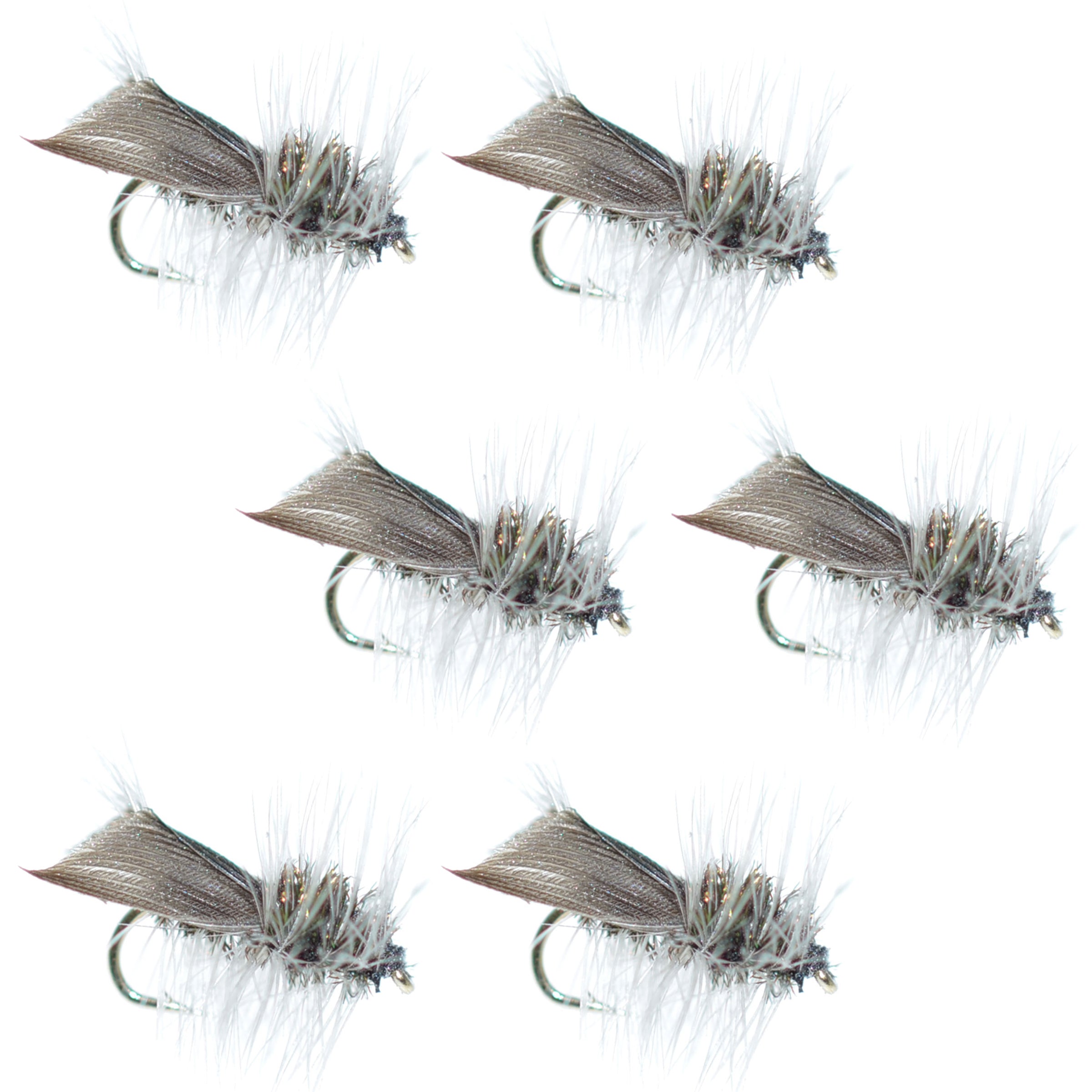 Hemingway Caddis Trockenfliege – 6 Fliegen Hakengröße 16