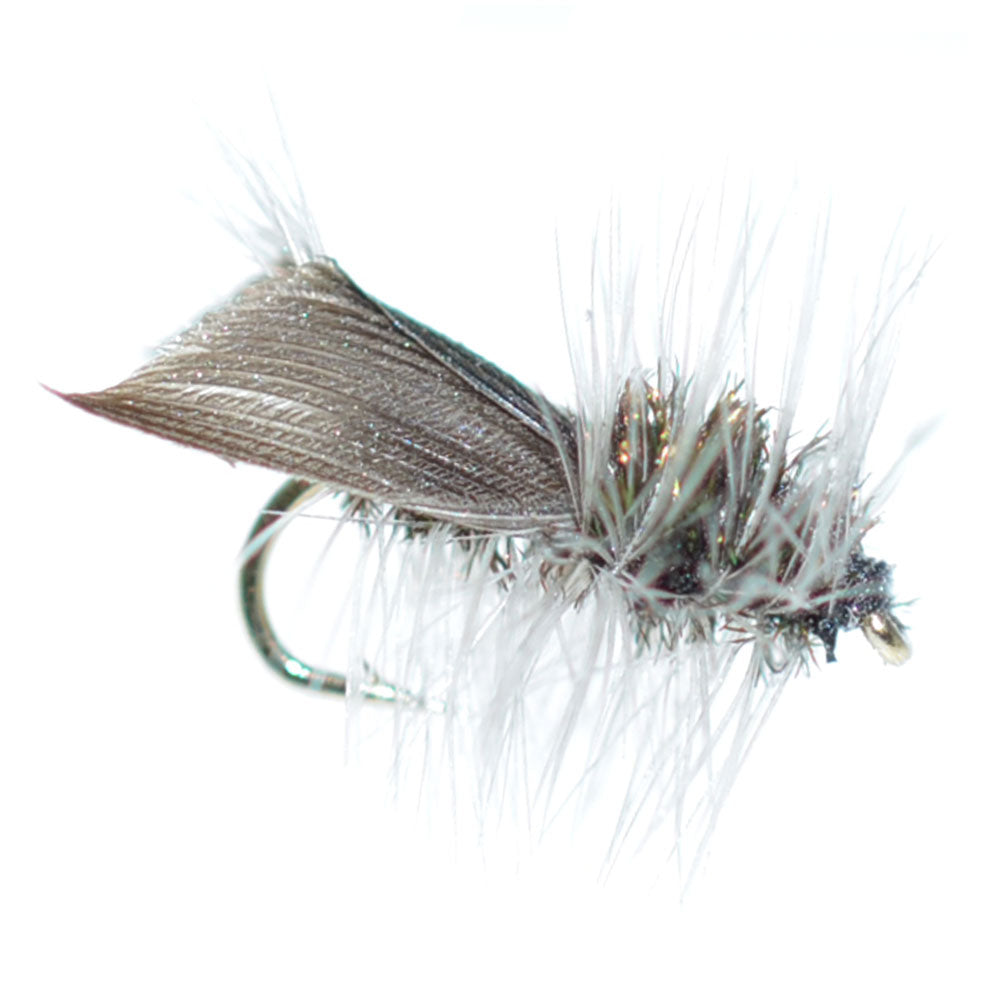 Hemingway Caddis Trockenfliege – 6 Fliegen Hakengröße 16