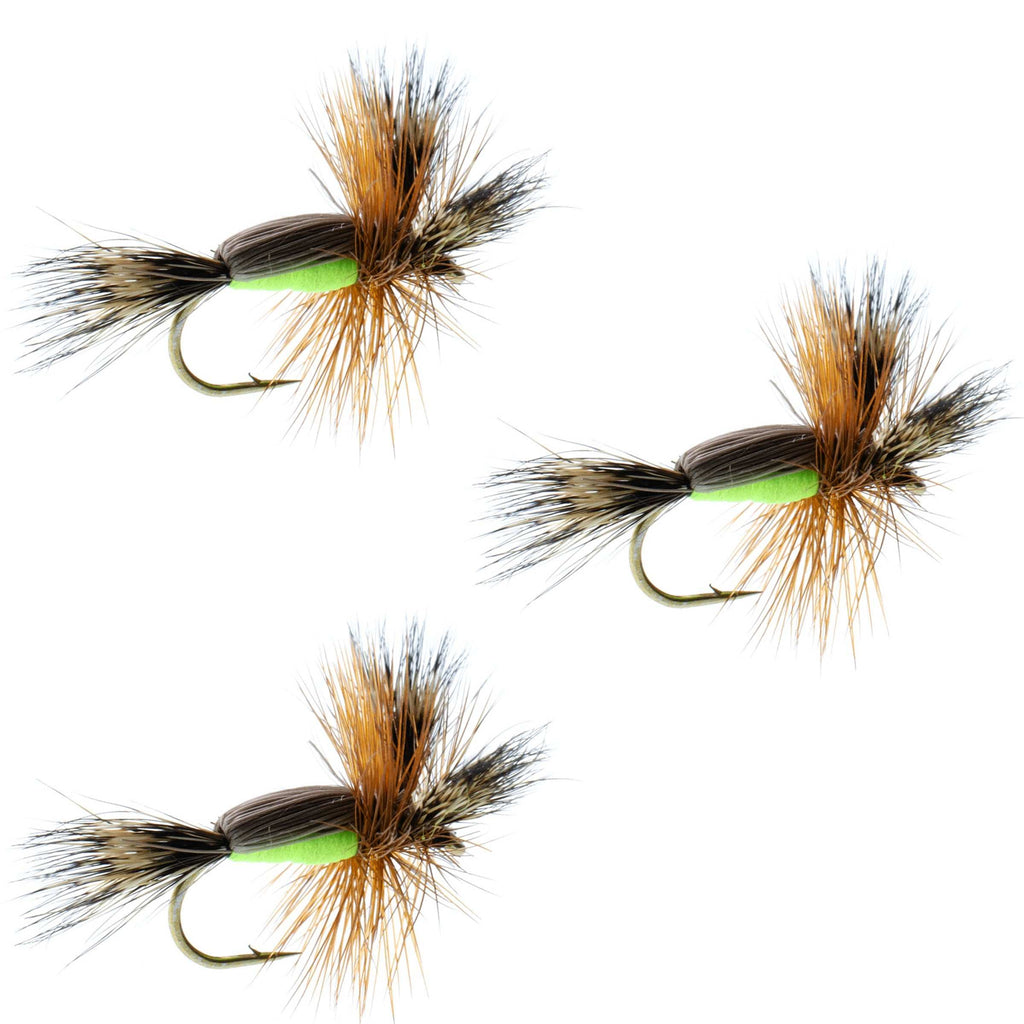 3er-Pack widerhakenlose Chartreuse Humpy Classic Hairwing Trockenfliege – Hakengröße 10