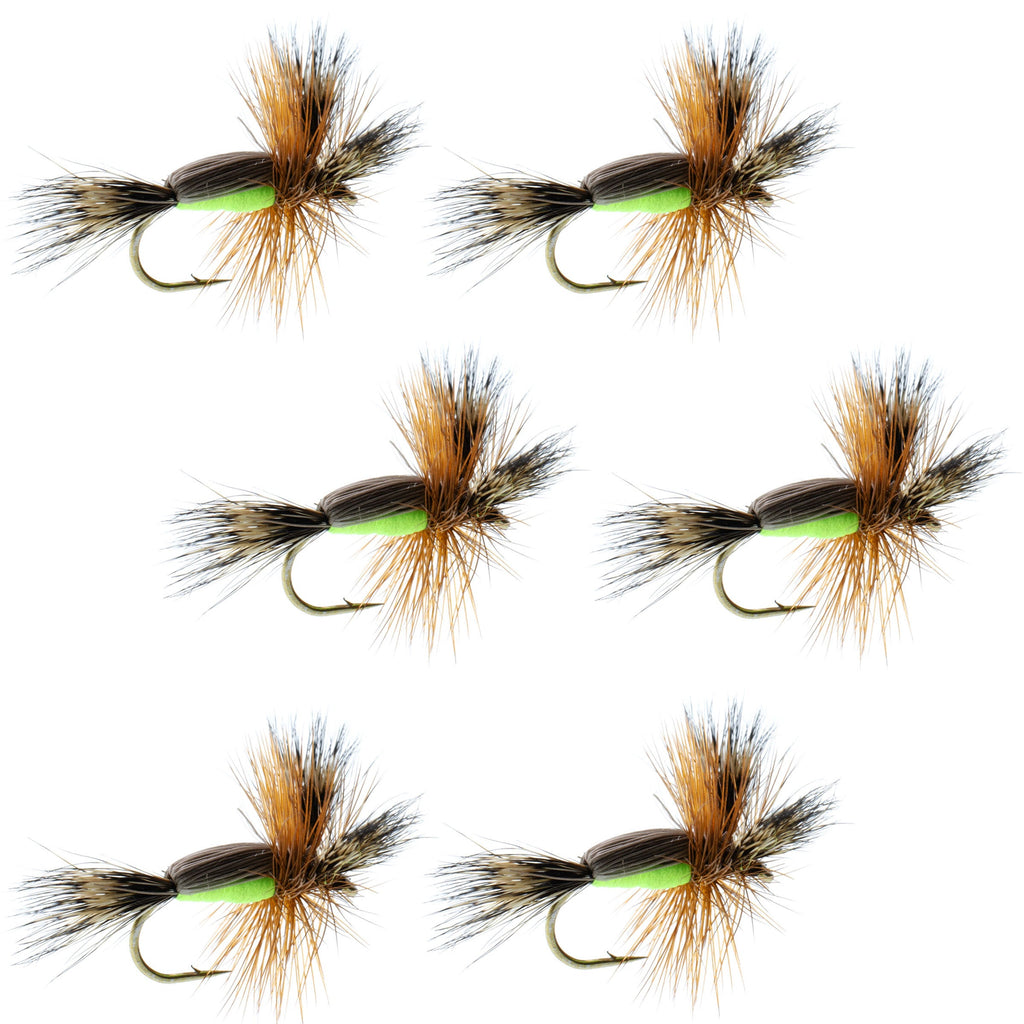 Chartreuse Humpy Classic Hair Wing Trockenfliege – 6 Fliegen Hakengröße 16