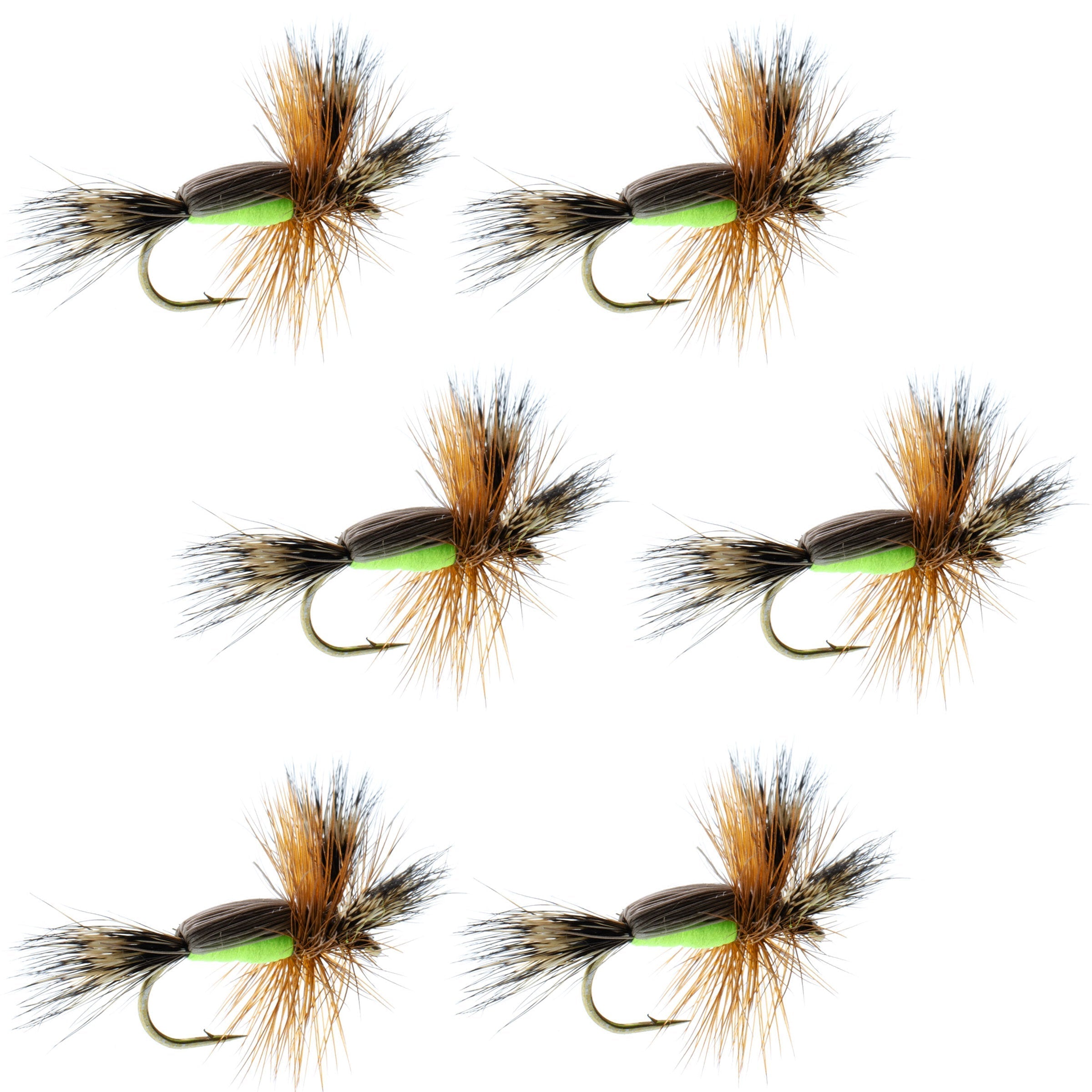 Chartreuse Humpy Classic Hair Wing Trockenfliege - 6 Fliegen Hakengröße 14