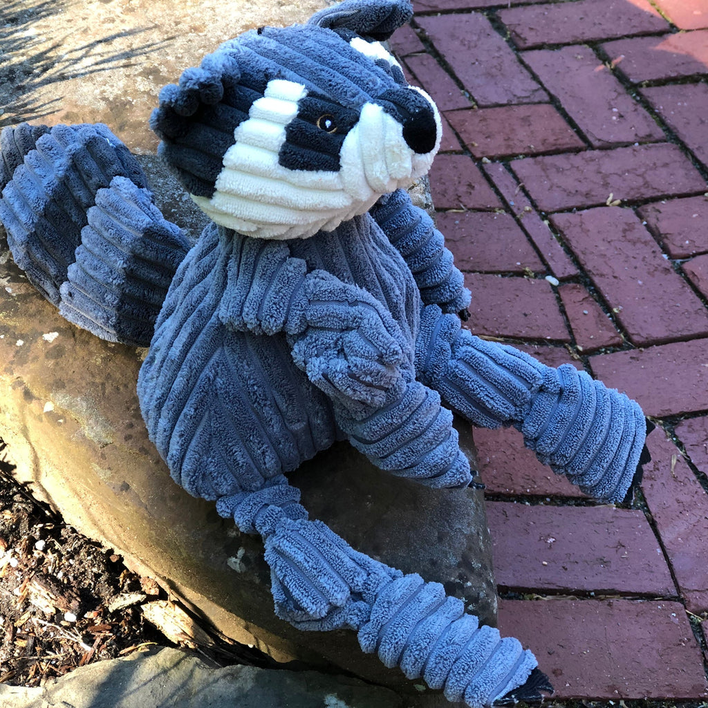 Reggie Raccoon Knottie® Plüsch-Hundespielzeug