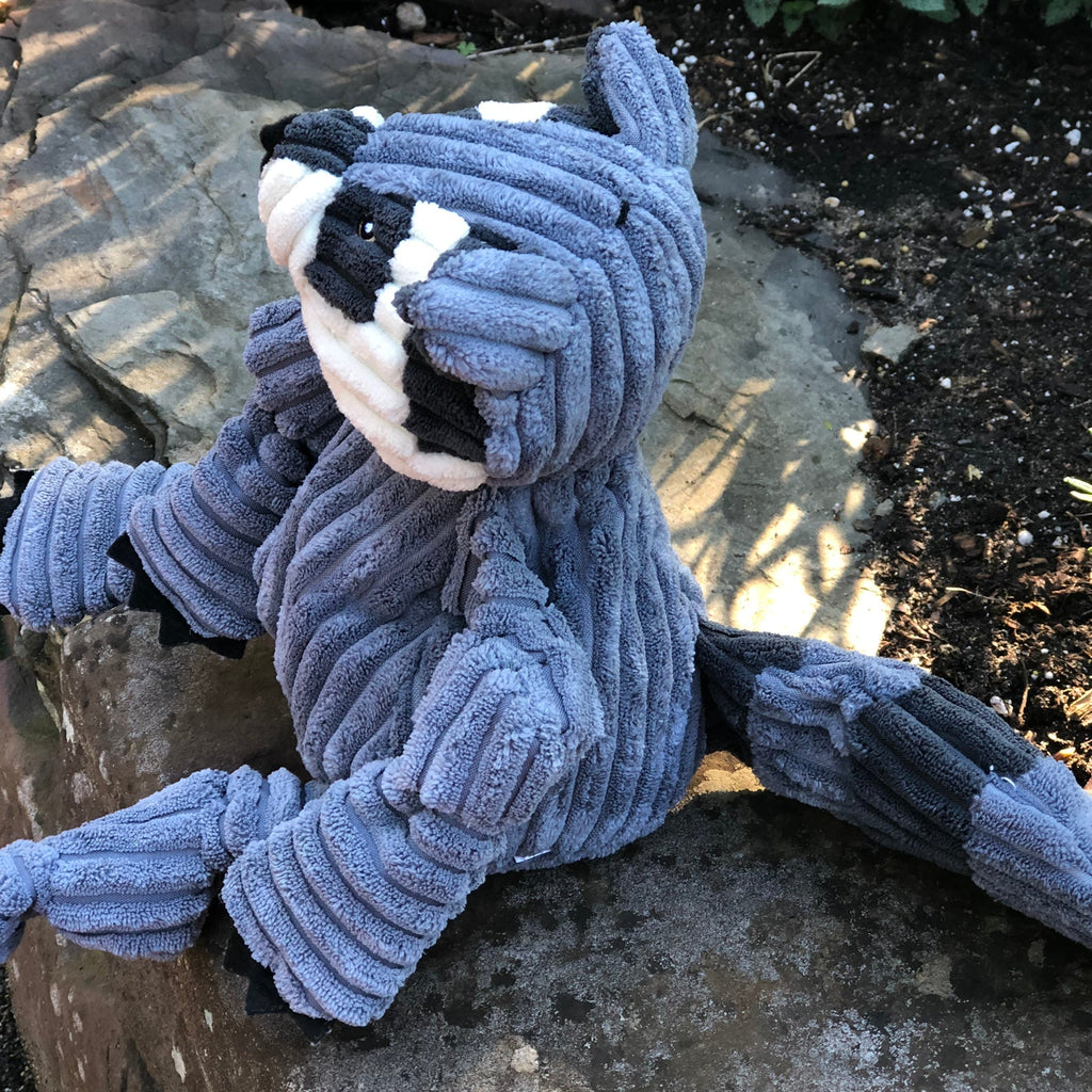 Reggie Raccoon Knottie® Plüsch-Hundespielzeug