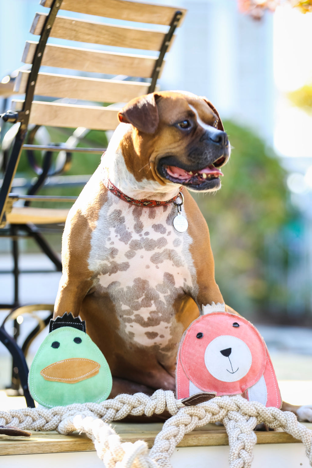 Dilly Duck Naturseil Knottie® Hundespielzeug, groß (9 mm Durchmesser)