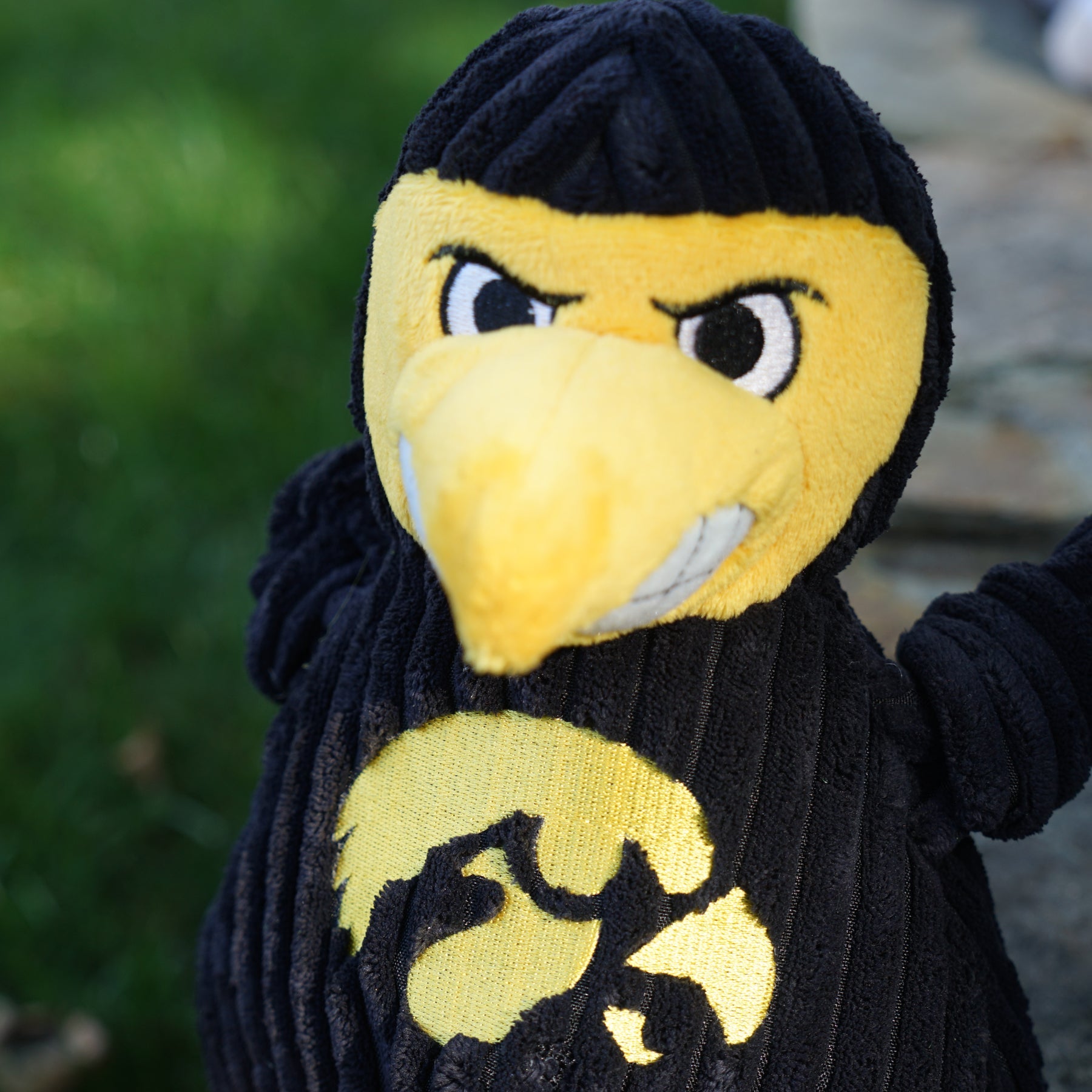 NCAA University of Iowa – Herky the Hawk Knottie® Plüsch-Hundespielzeug