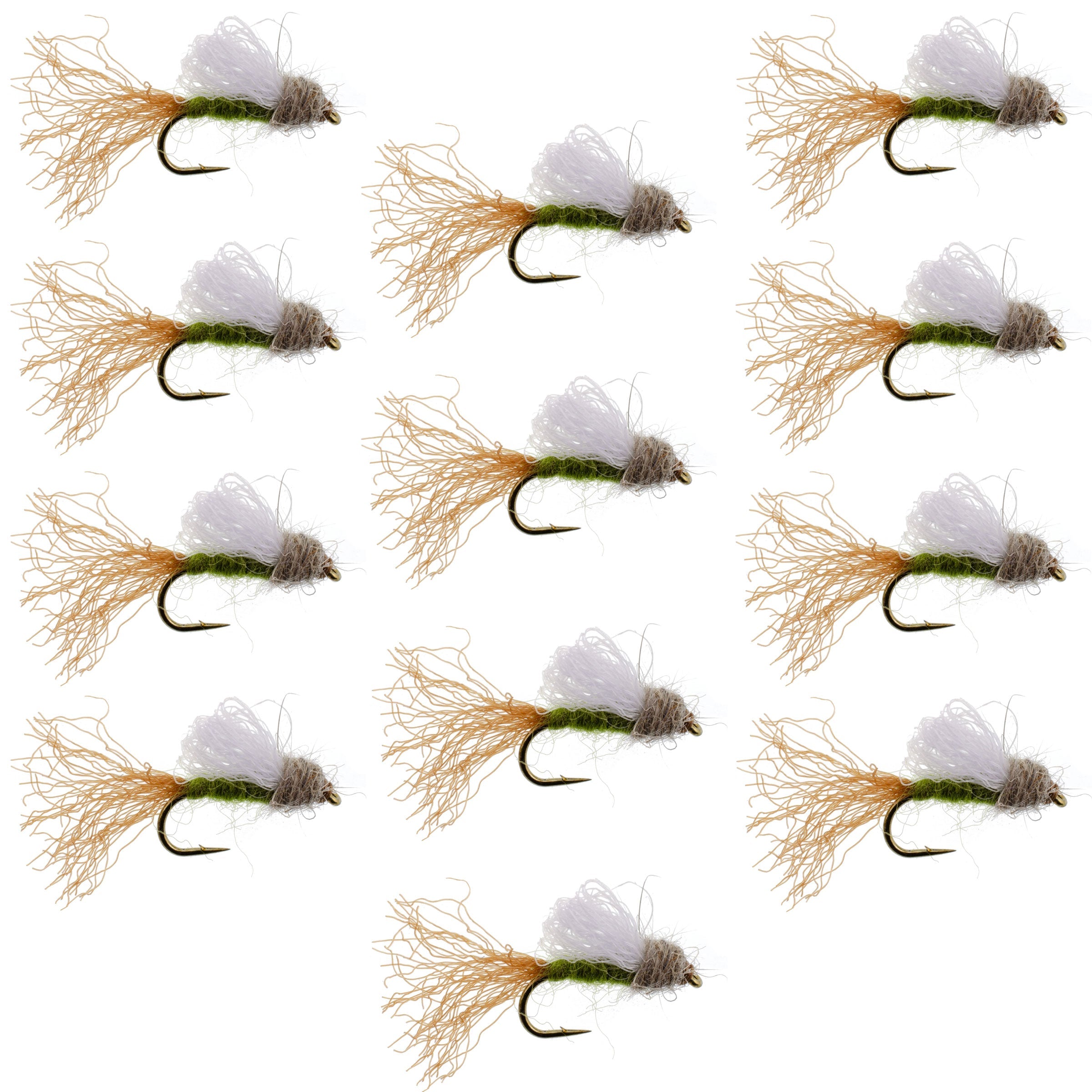 Olive Iris Caddis Emerger Caddis Forellen-Trockenfliege - 12 Fliegen Hakengröße 14