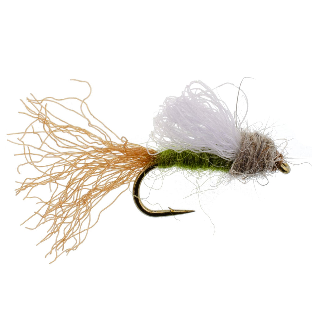 Olive Iris Caddis Emerger Caddis Forellen-Trockenfliege - 12 Fliegen Hakengröße 14