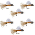 Orange Iris Oktober Köcherfliegen-Emerger Trockenfliege - 6 Fliegen Hakengröße 8