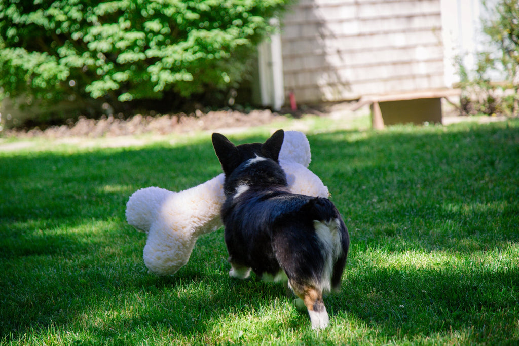 HuggleFleece® 2' Plüsch-Knochen-Hundespielzeug