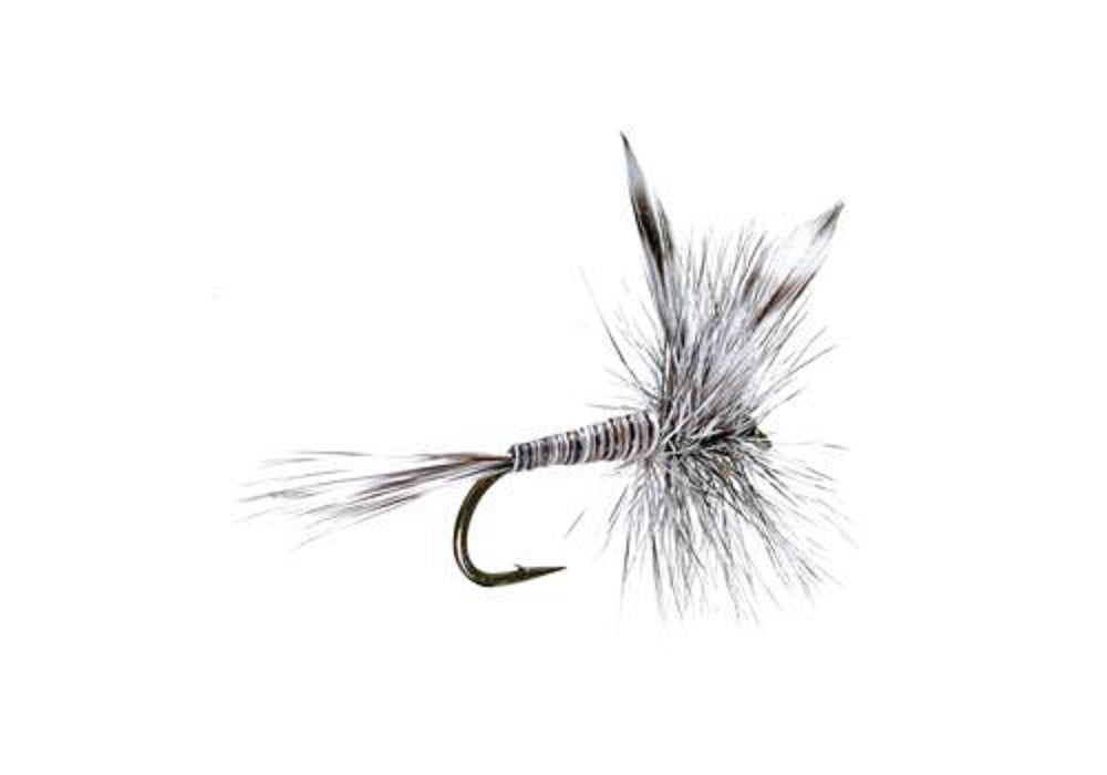 Basics Collection - Classic Dry Fly Assortment - 10 Flies - Sizes 12-16
