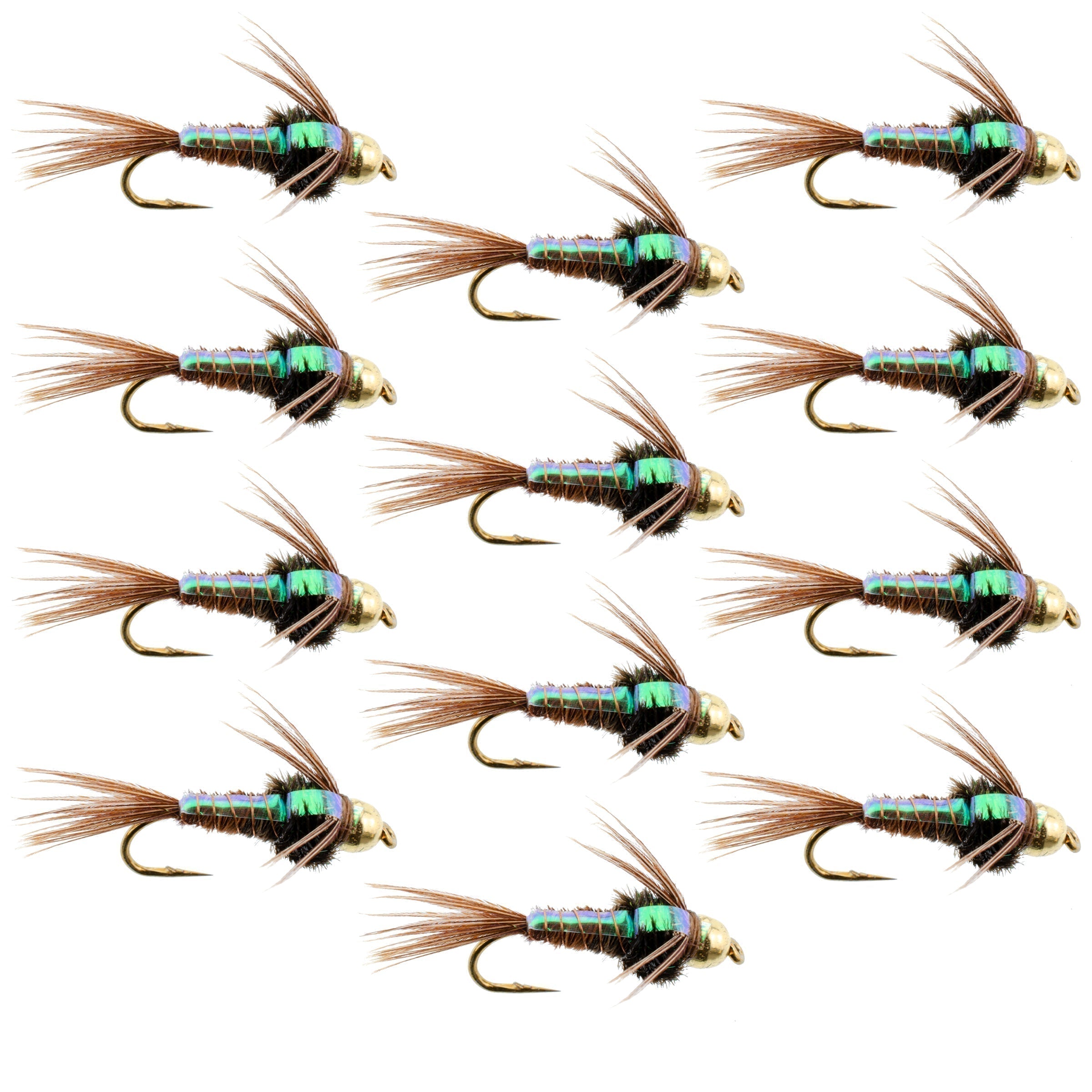 Wolframkopf Flash Back Goldfasan Nymphe 1 Dutzend Fliegen Größe 12