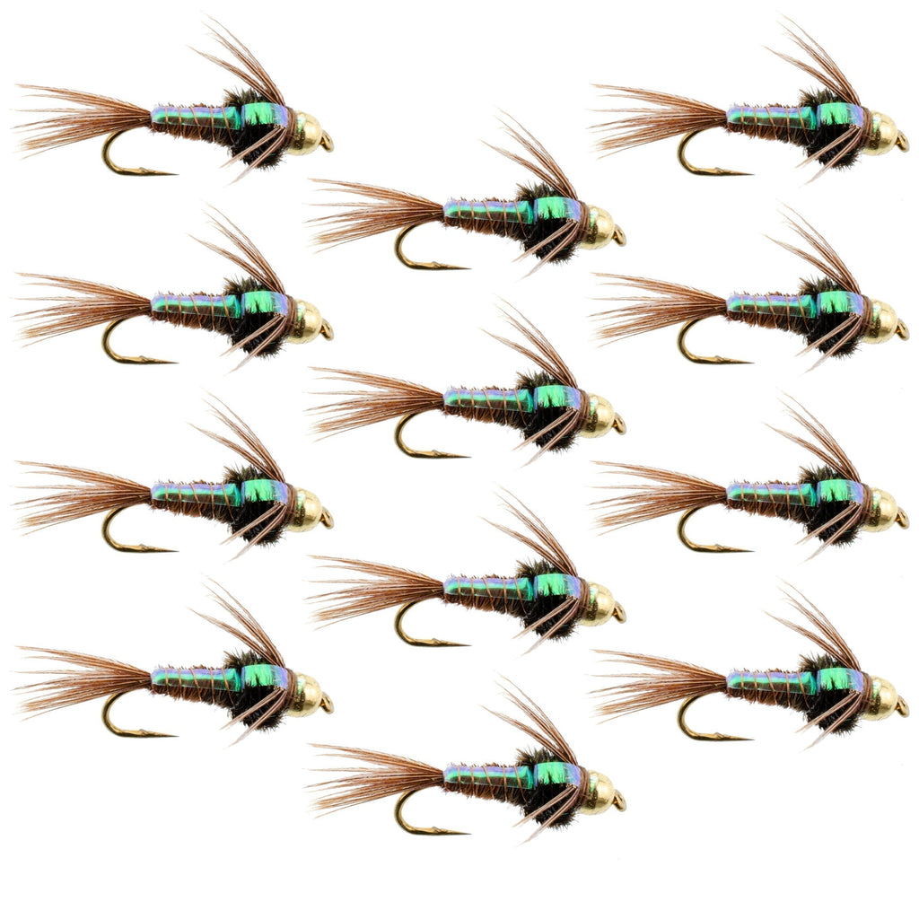 Wolframkopf Flash Back Pheasant Tail Nymphe 1 Dutzend Fliegen Größe 16