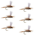 Hares Ear Parachute Classic Dry Fly - 6 Flies Hook Size 14