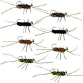 Wolframkopf-Jig-Pat's-Rubber-Legs-Euro-Nymphen-Sortiment Fliegenfischen-Fliegen - 8 Fliegen Hakengröße 10