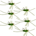 Widerhakenlose Pat's Rubber Legs Tungsten Bead Jigged Black/Chartreuse Euro Nymph – 6er-Set Fliegen, Hakengröße 10