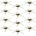 Widerhakenlose Pat's Rubber Legs Tungsten Bead Jigged Coffee/Black Euro Nymph – 12er Set Fliegen Hakengröße 10