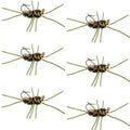 Widerhakenlose Pat's Rubber Legs Tungsten Bead Jigged Coffee/Black Euro Nymph – Set mit 6 Fliegen Hakengröße 10